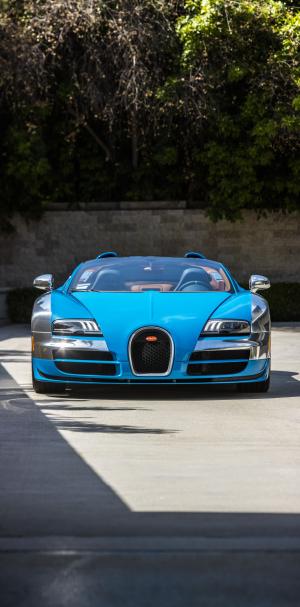 Bugatti Veyron 16.4 Grand Sport Roadster Vitesse Meo Constantini 2013 года  (NA)